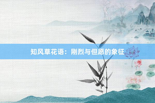知风草花语:刚烈与但愿的象征